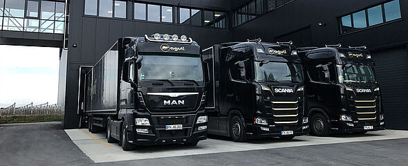 Aguti Firmenprofil - Historie, Philosophie Zertifikate & Patente Jobs